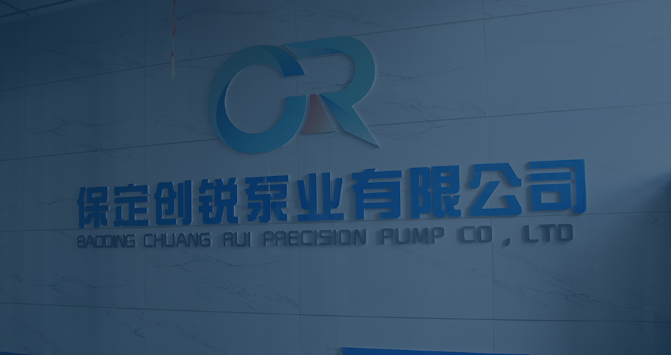 Baoding Chuangrui Precision Pump Co., Ltd.