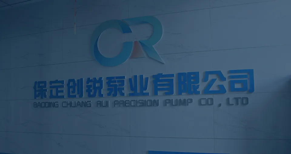 Baoding Chuangrui Precision Pump Co., Ltd.