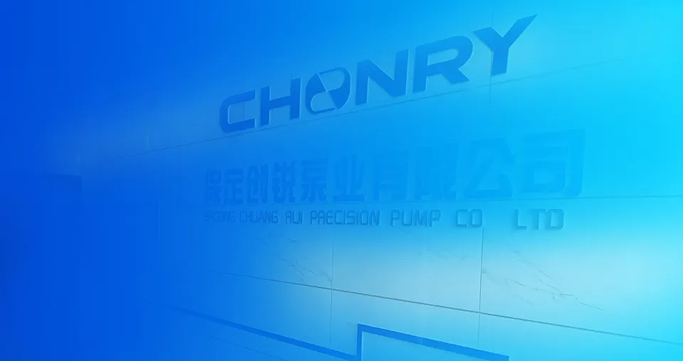 Baoding Chuangrui Precision Pump Co., Ltd.