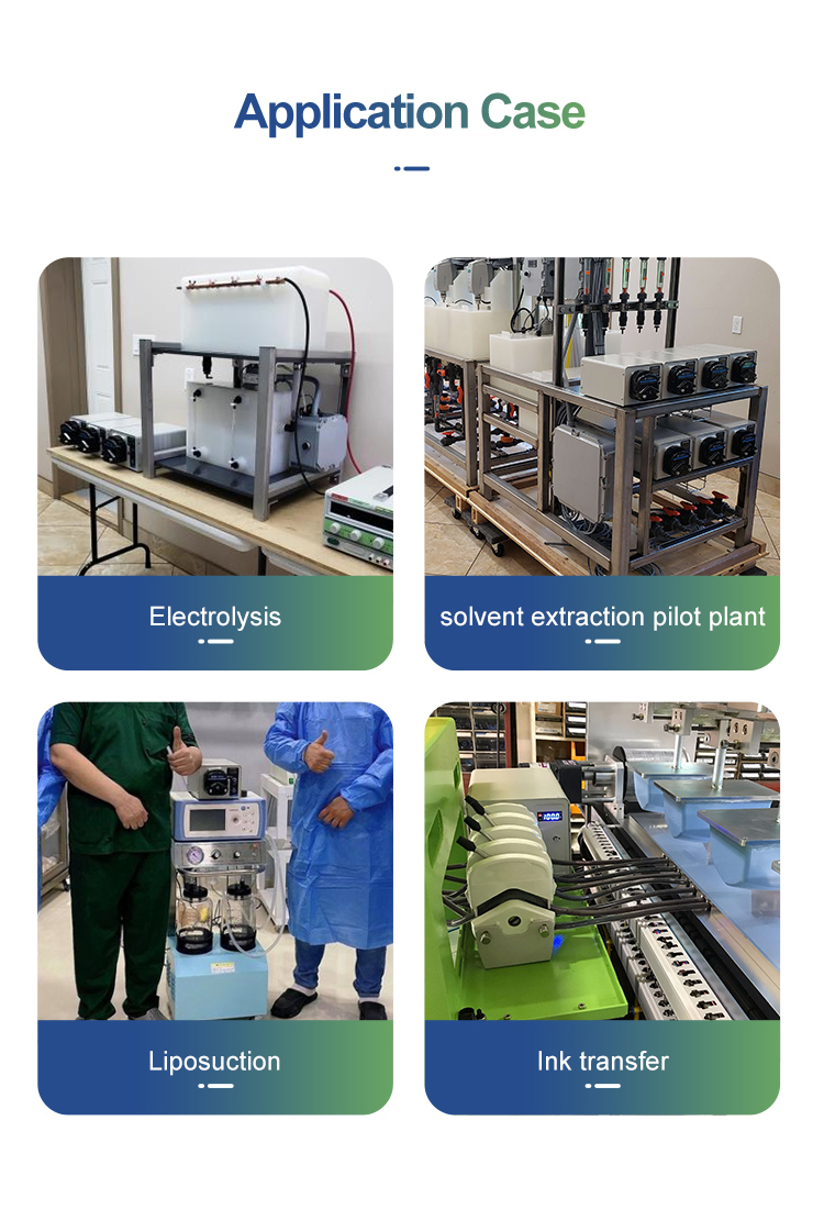 BT600M Precision Peristaltic Pump