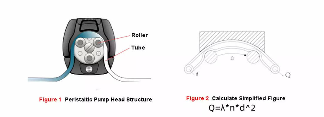 How to Calculate Peristaltic Pump Flow