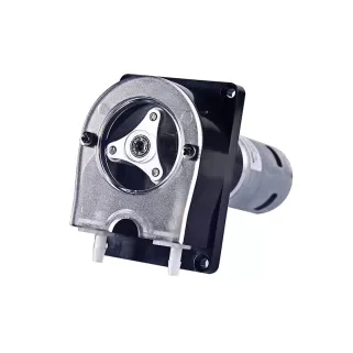 OEM206/WP300 12V 24V DC Motor Peristaltic Pump Detergent Transfer Laundry Machine Dosing Pump
