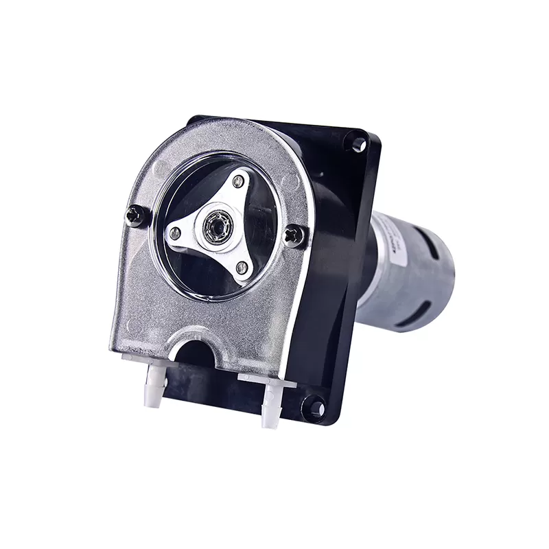 12V 24V DC Motor Peristaltic Pump Detergent Transfer Laudary Machine Dosing Pump