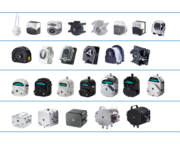 Chonry Peristaltic Pump Head For Sale