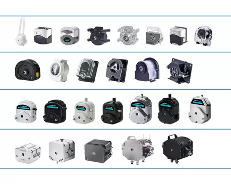 Chonry Peristaltic Pump Head For Sale