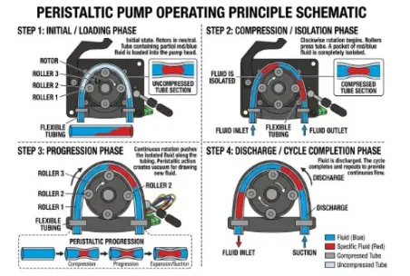 Peristaltic Pumps: Gold Standard Fluid Transfer for 2026
